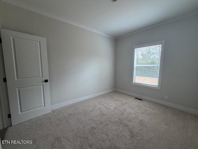 602 Reed Drive Powell, TN 37849 - Photo 21 of 23 IMG_1352