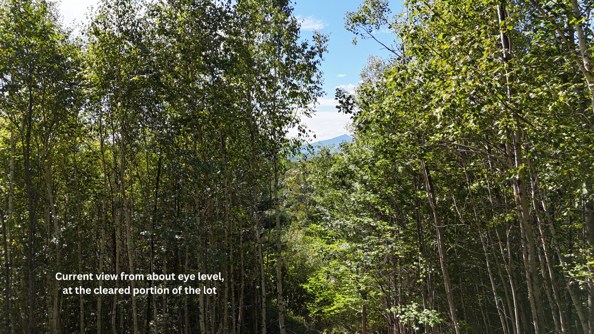 218 Black Mountain Road Harrison, ME 04040 - Photo 4 of 8 Aprx lot location (3)