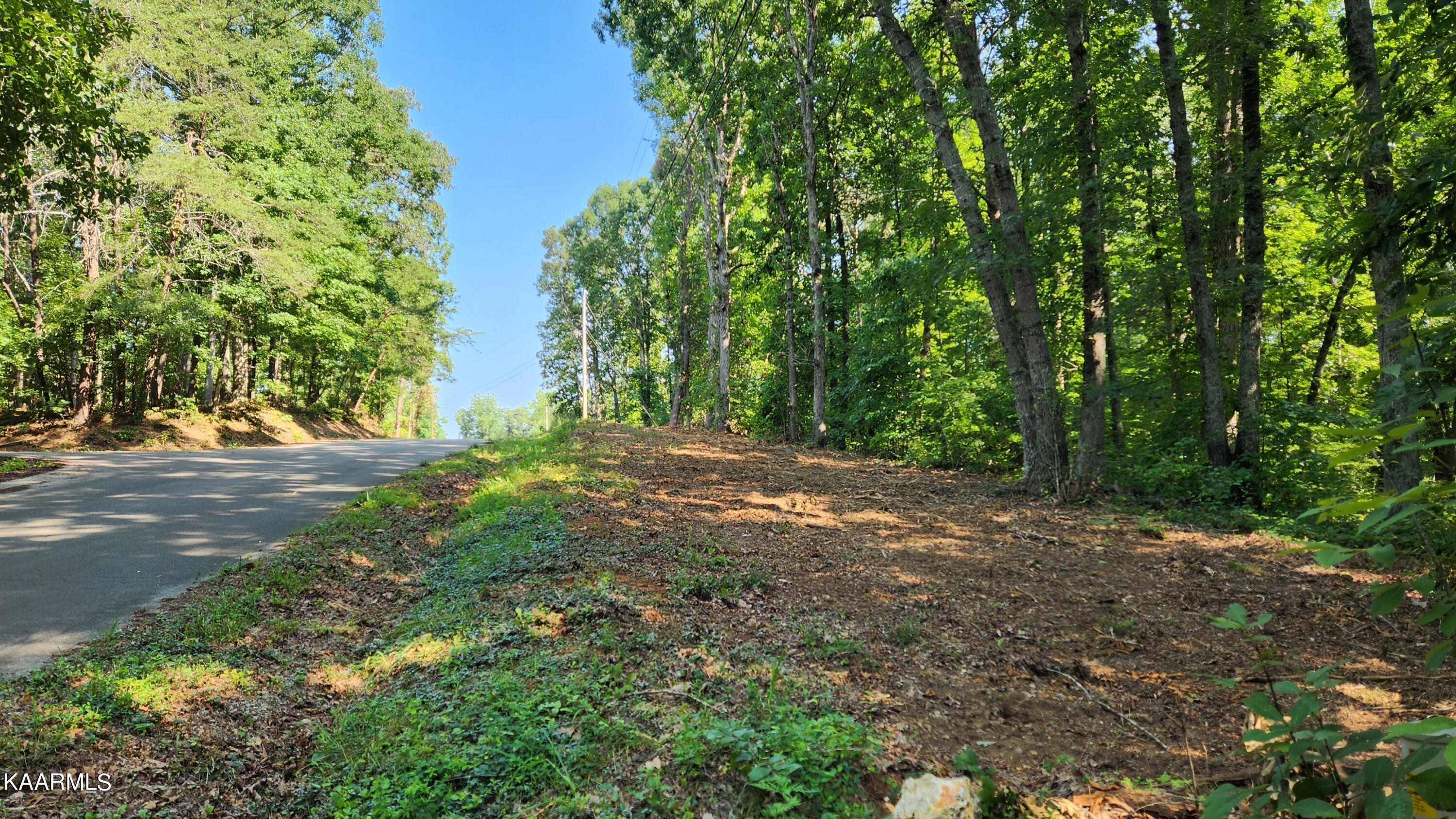 1056 Wilderness Road Friendsville, TN 37737 - Photo 1 of 18 20230801_102634