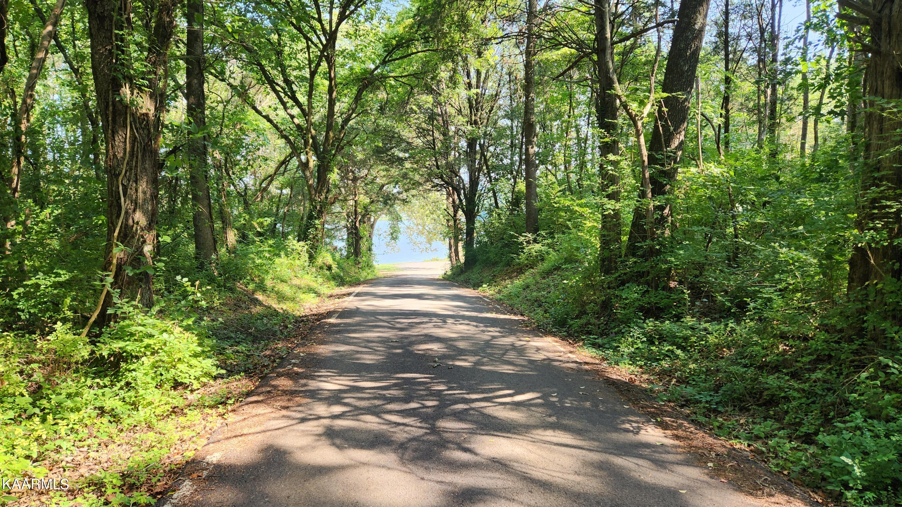 1056 Wilderness Road Friendsville, TN 37737 - Photo 15 of 18 20230801_104410