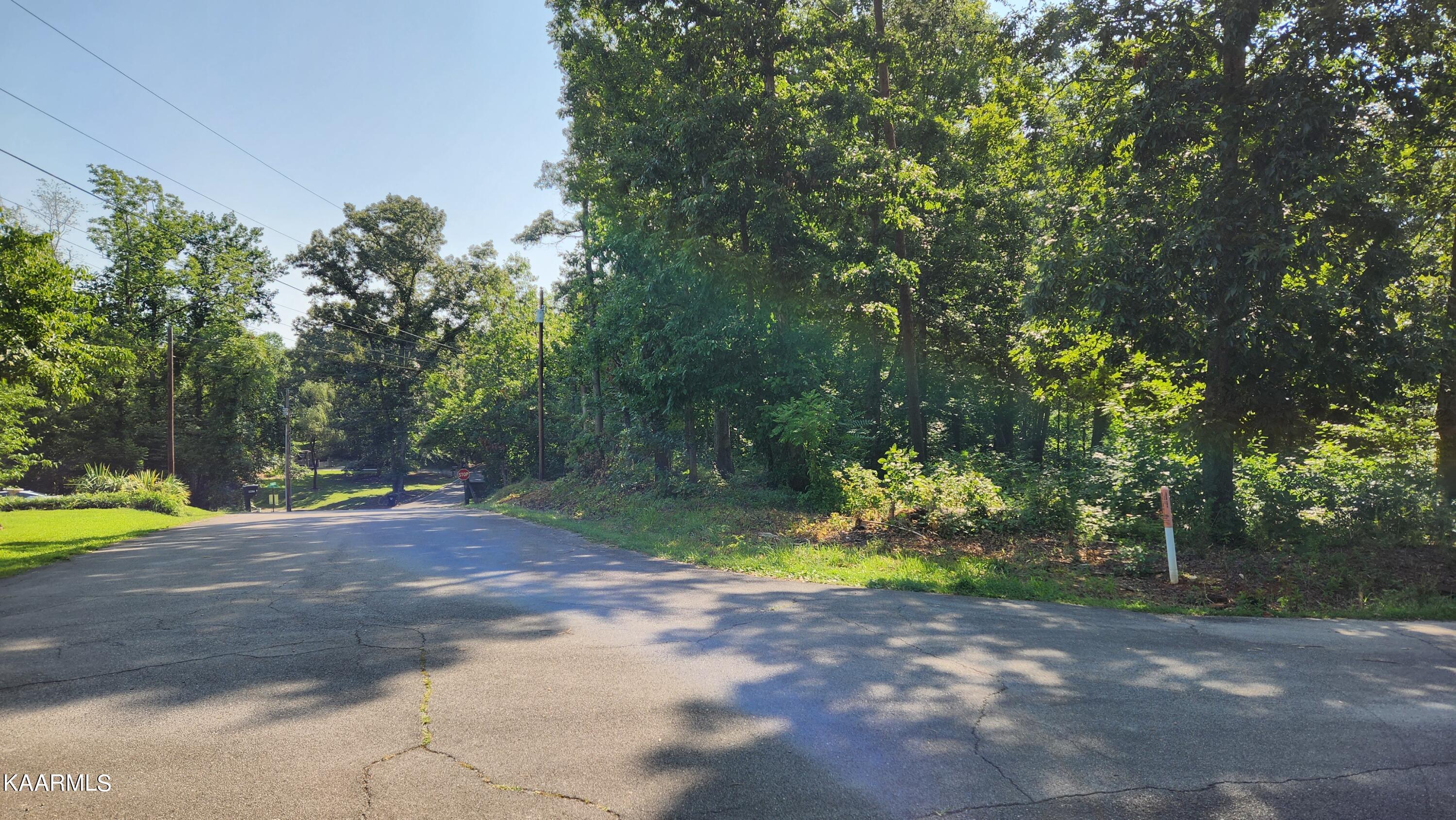 1056 Wilderness Road Friendsville, TN 37737 - Photo 2 of 18 20230801_102903