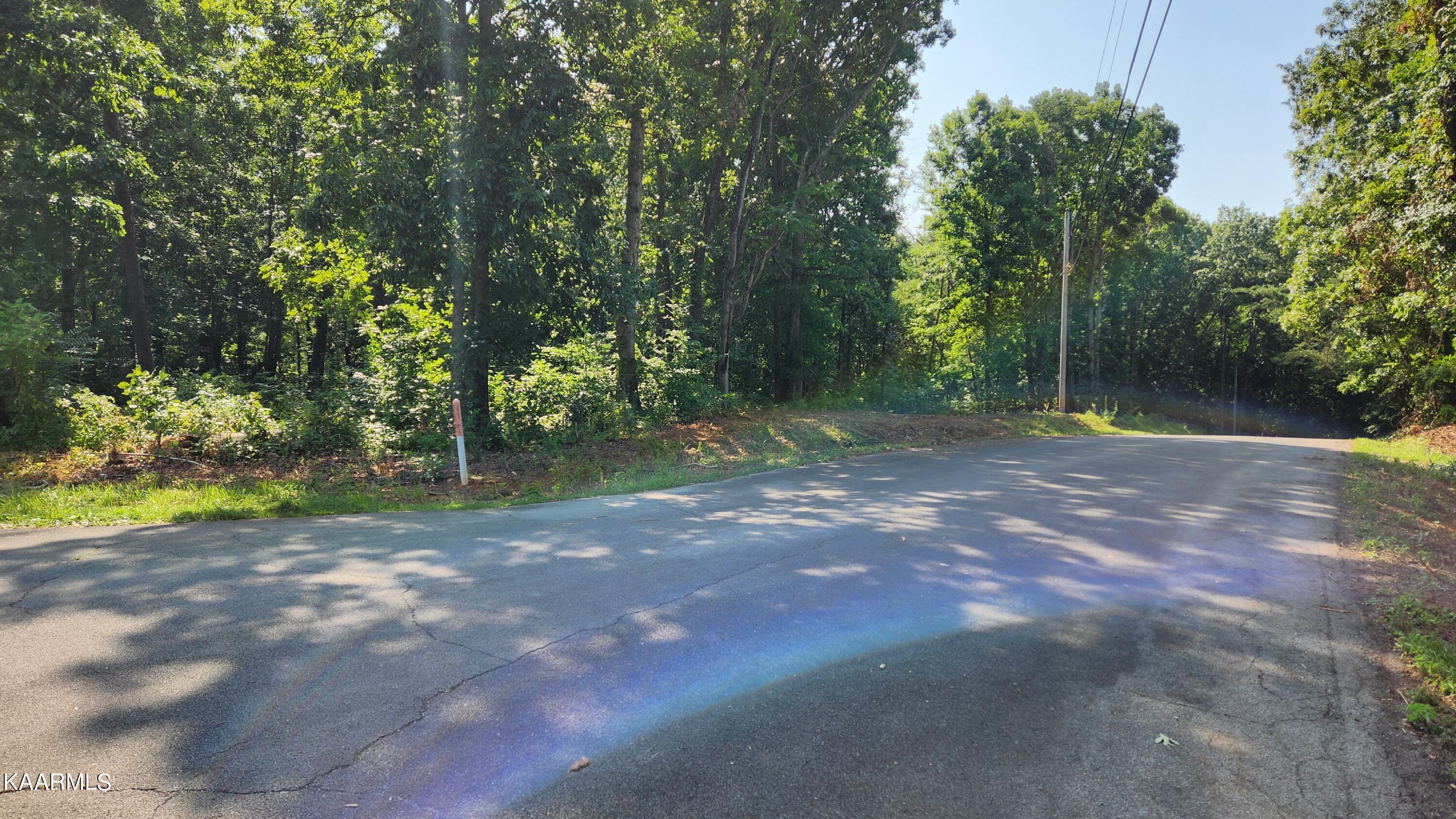 1056 Wilderness Road Friendsville, TN 37737 - Photo 3 of 18 20230801_102851