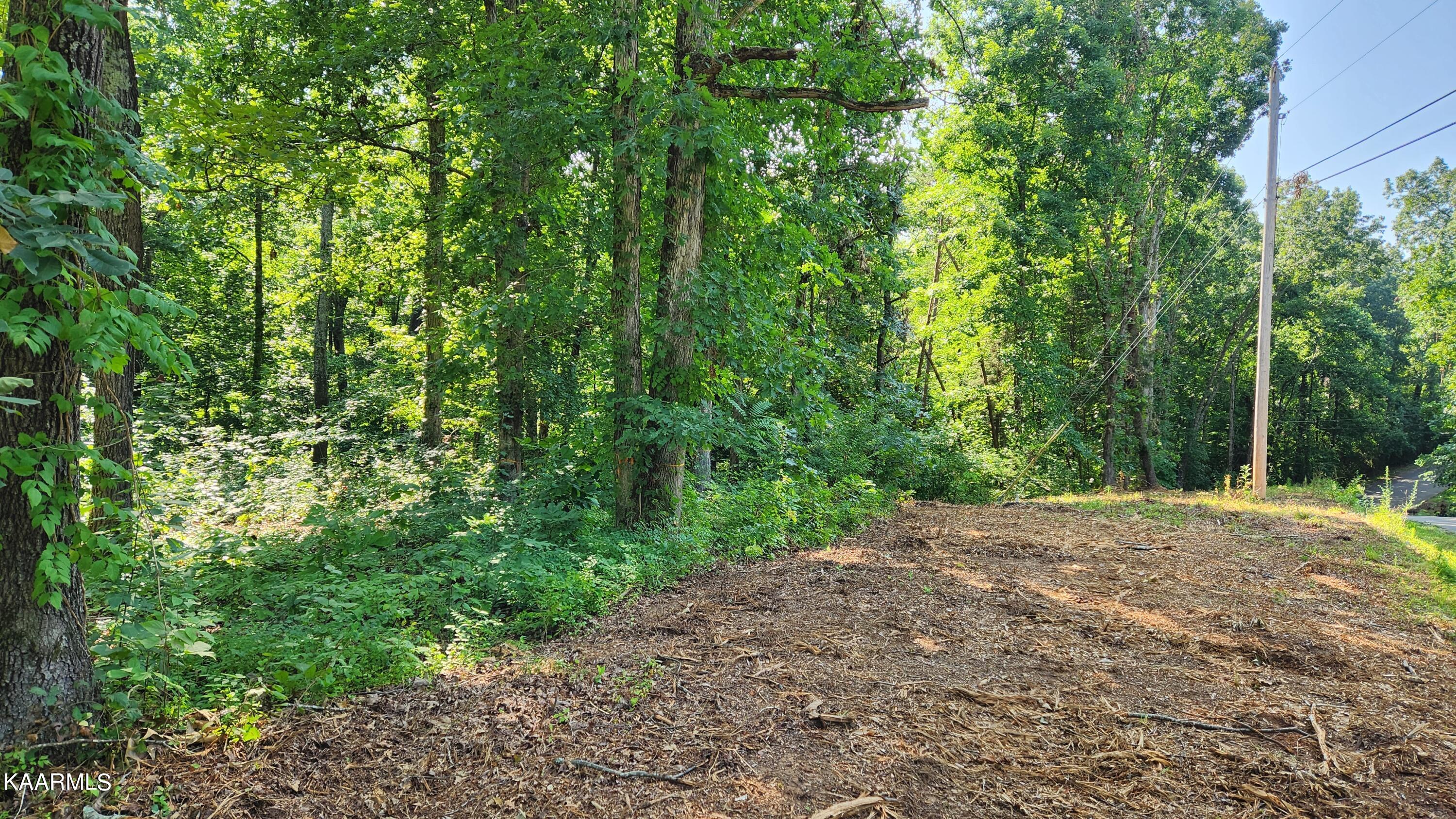 1056 Wilderness Road Friendsville, TN 37737 - Photo 4 of 18 20230801_103001