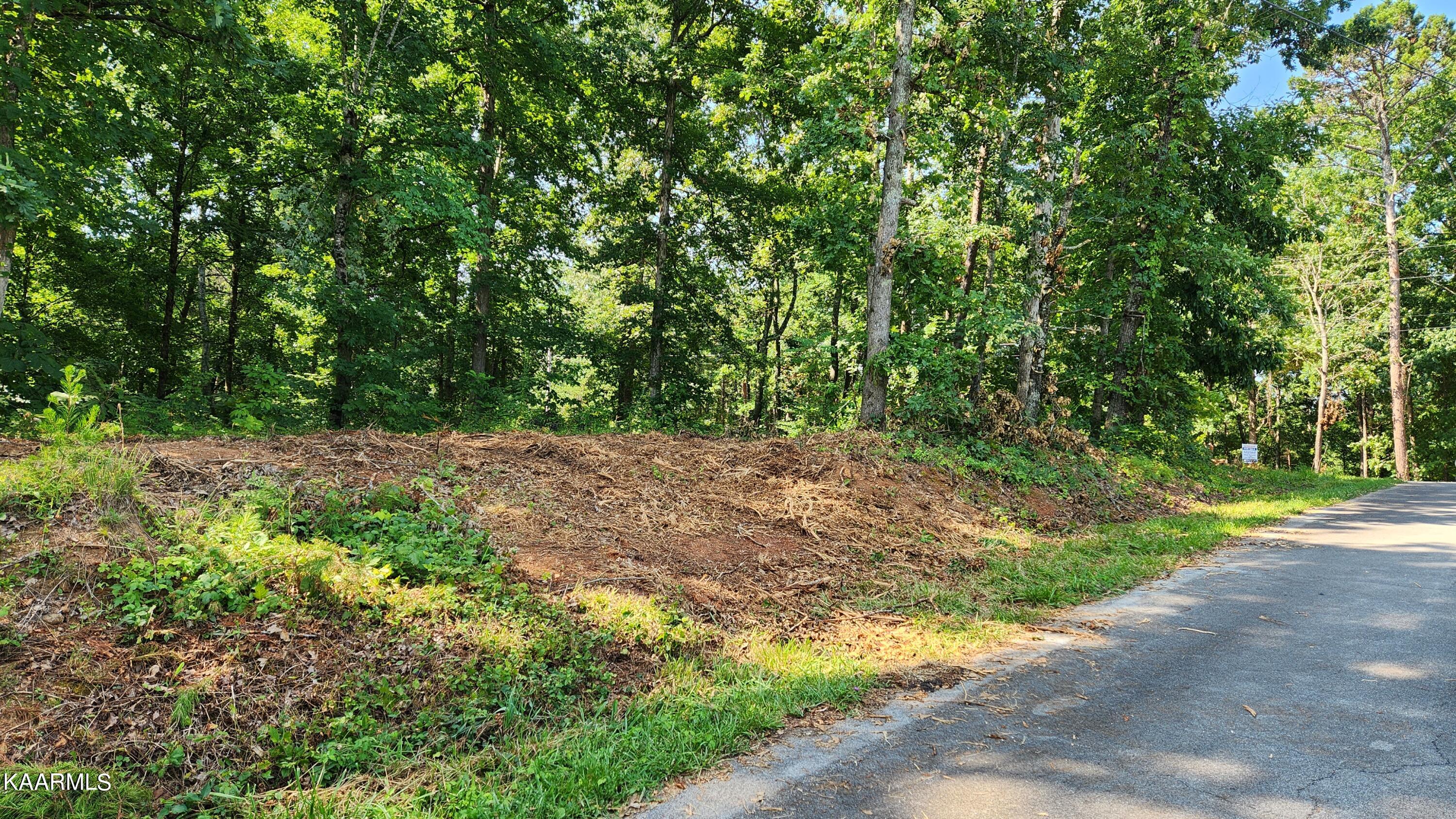 1056 Wilderness Road Friendsville, TN 37737 - Photo 9 of 18 20230801_105132