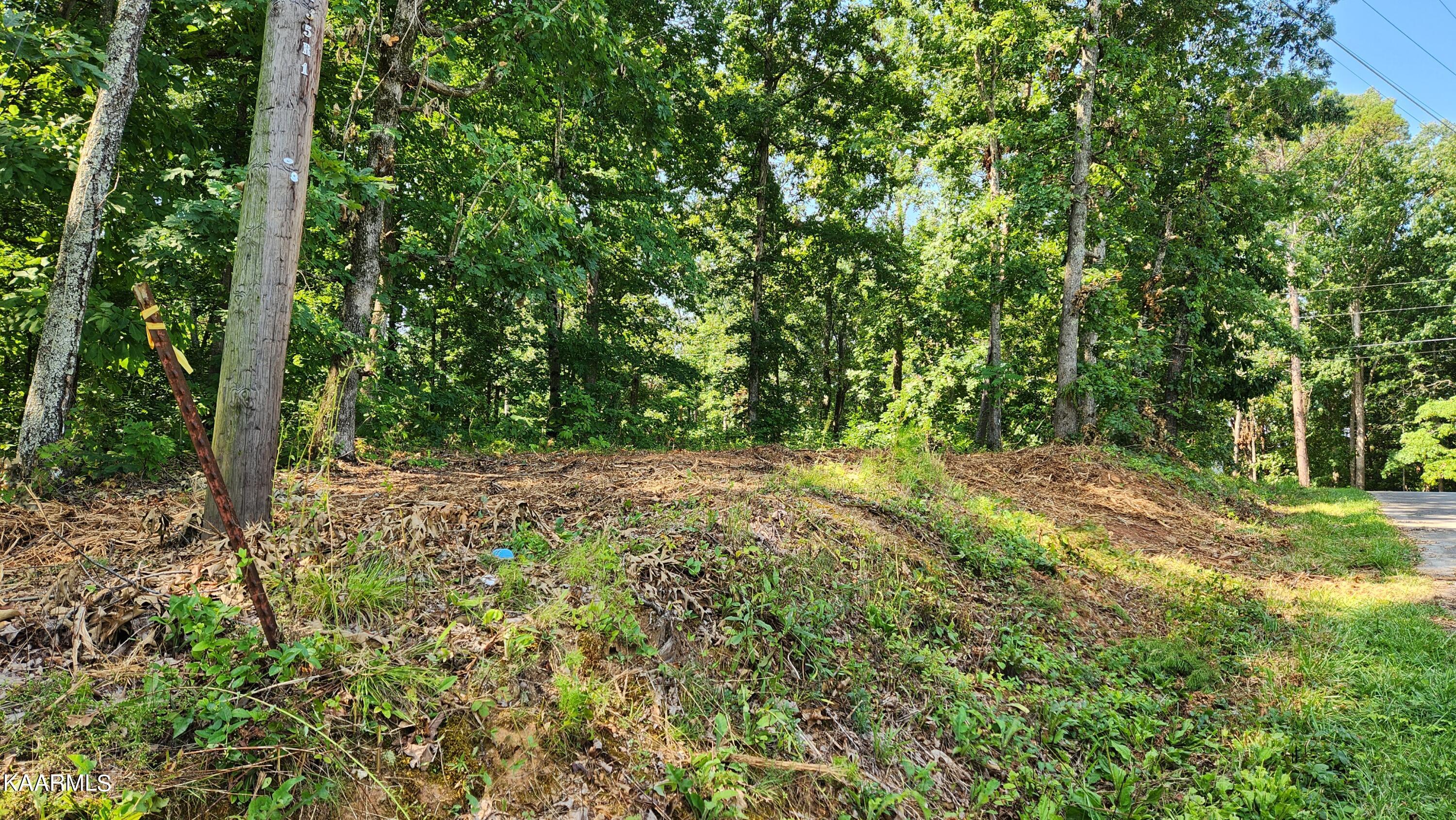 1056 Wilderness Road Friendsville, TN 37737 - Photo 10 of 18 20230801_105122