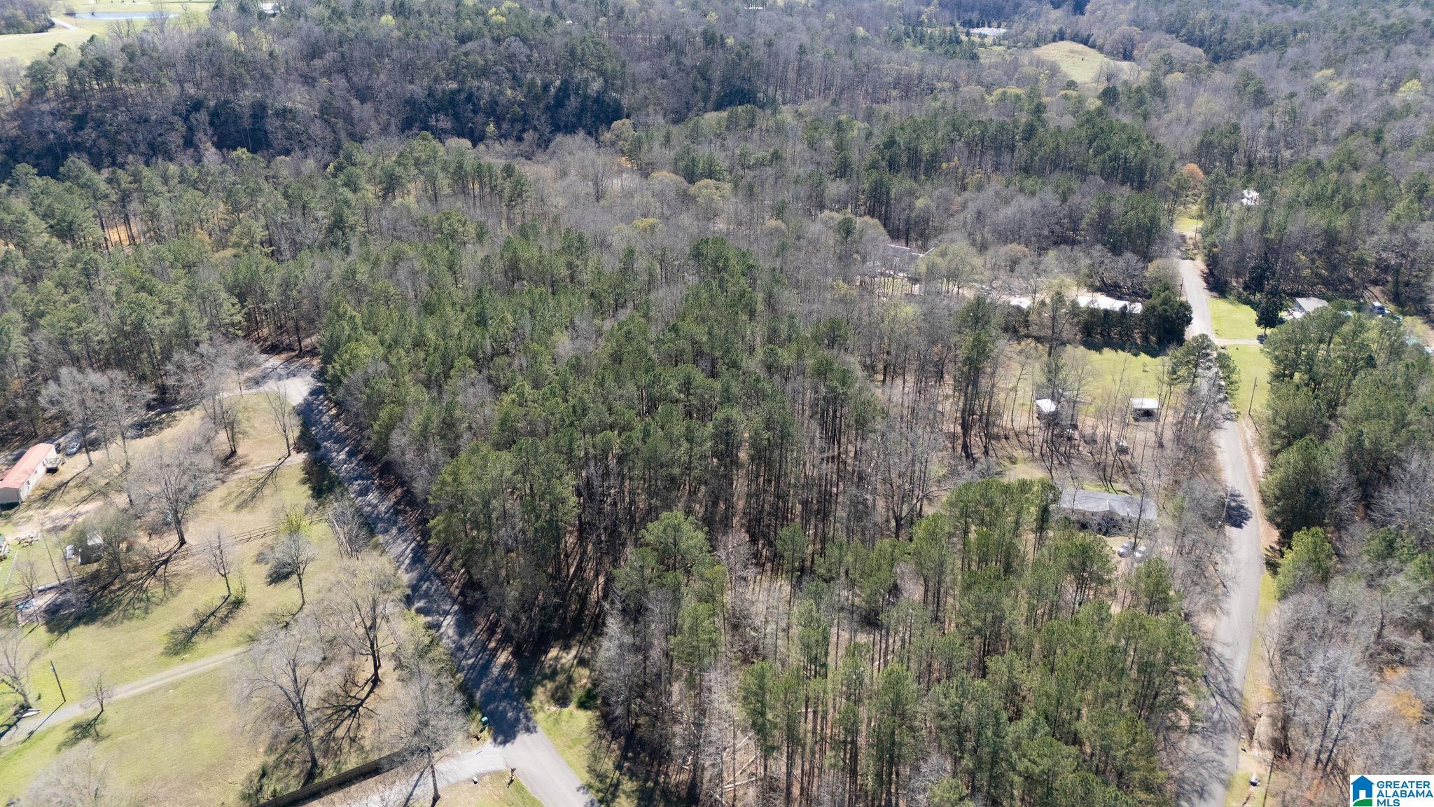 29 North Northview Circle, Unit 29 Northport, AL 35475 - Photo 5 of 16