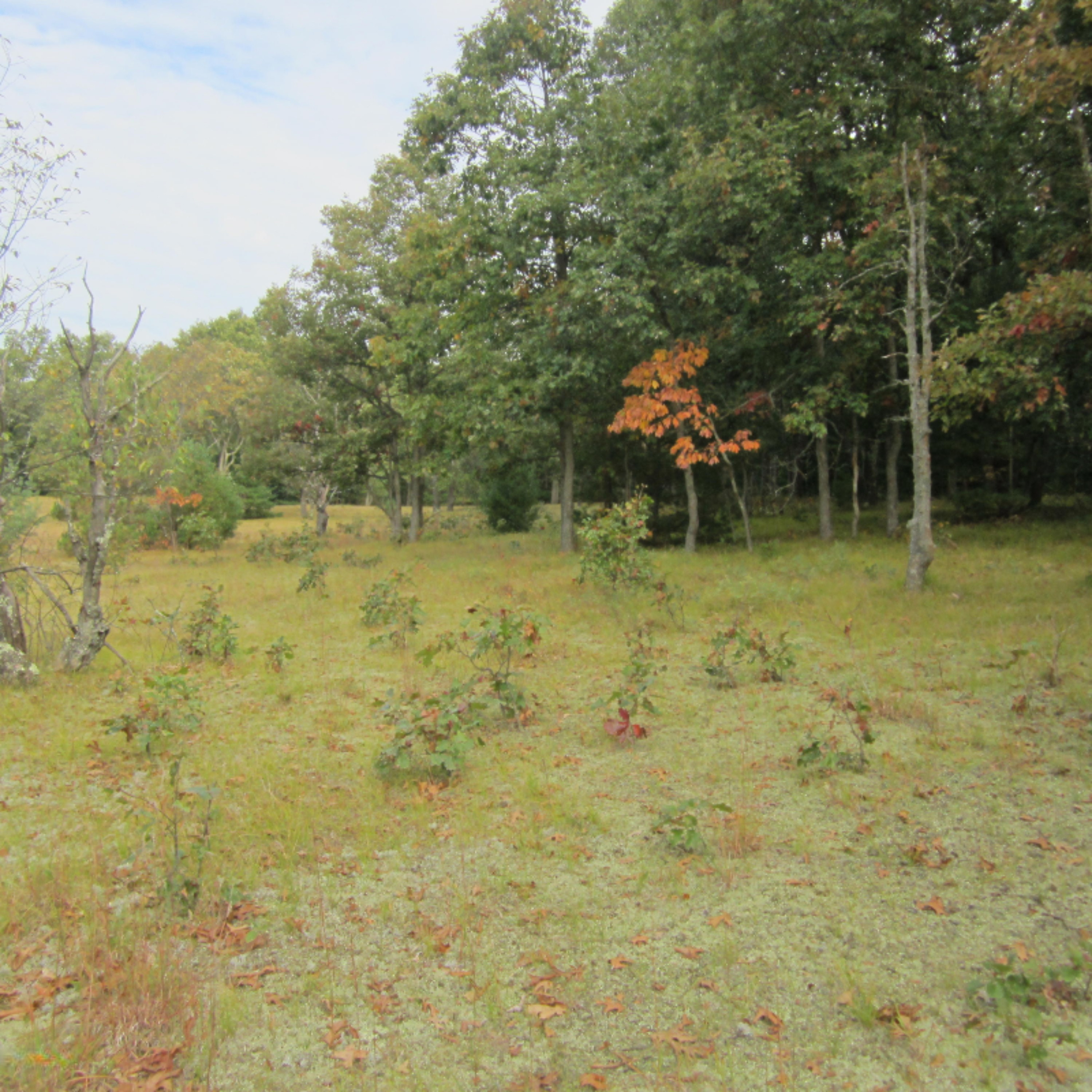 Dalson Road, Unit 10 Holton, MI 49425 - Photo 13 of 20 IMG_8063