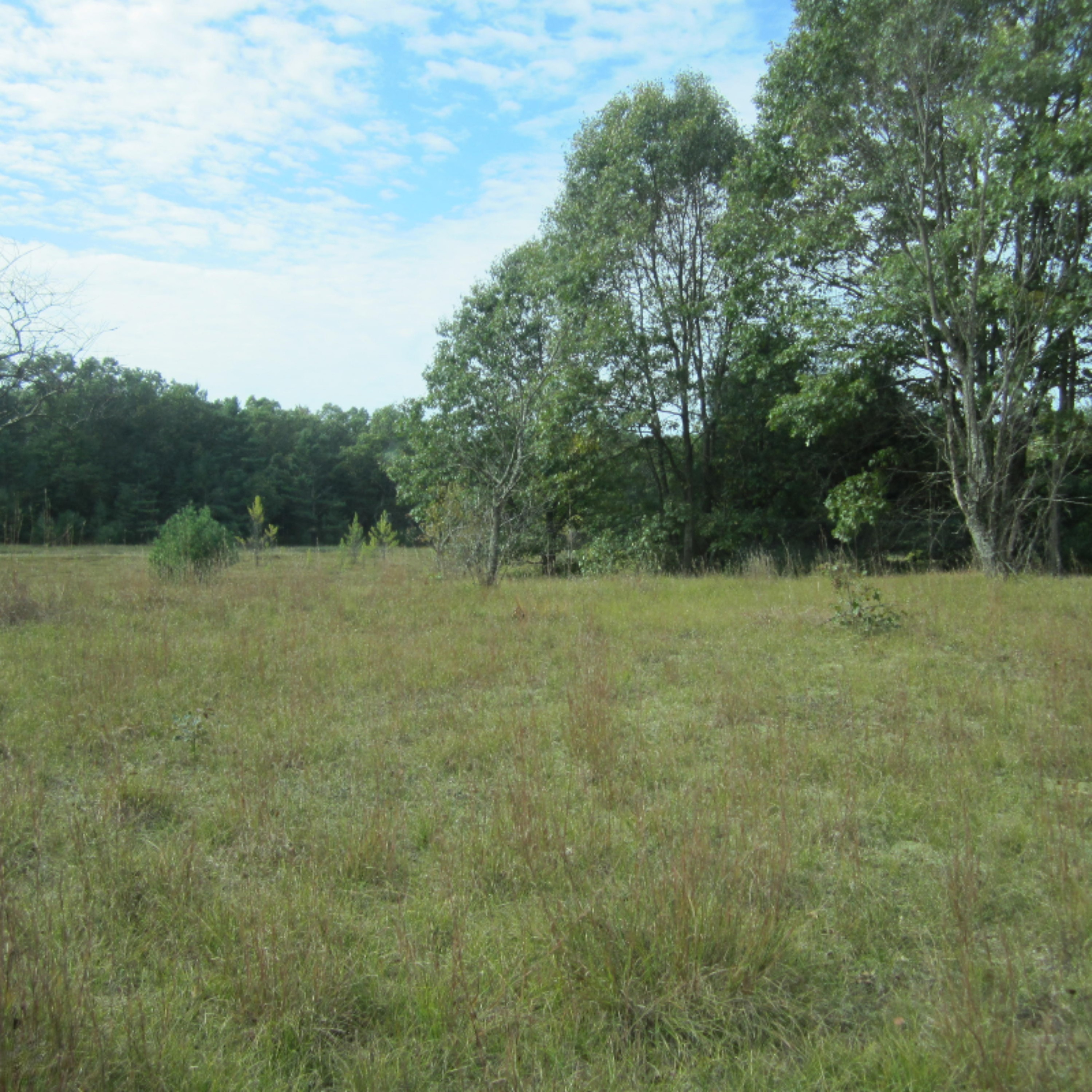 Dalson Road, Unit 10 Holton, MI 49425 - Photo 14 of 20 IMG_8065