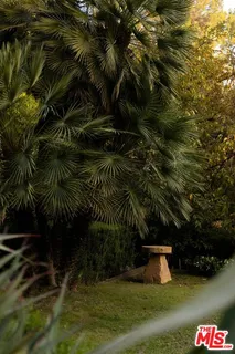 a view of yard with mountain and trees