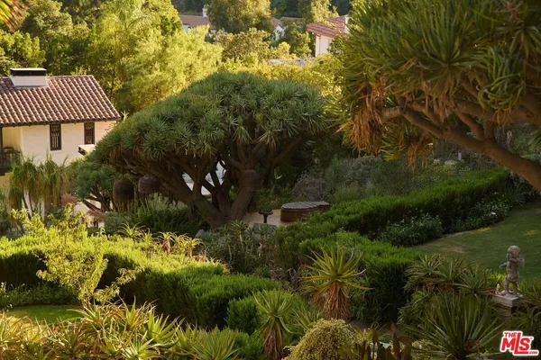 a view of a plants with a plant