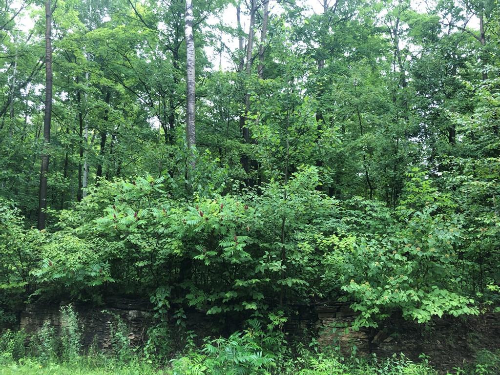 F1-d2 Timber Ridge Road Sturgeon Bay, WI 54235 - Photo 11 of 22