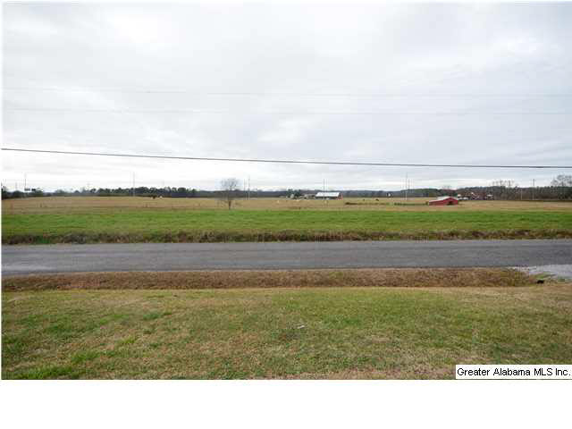2242 Logan Street Cullman, AL 35055 - Photo 23 of 23