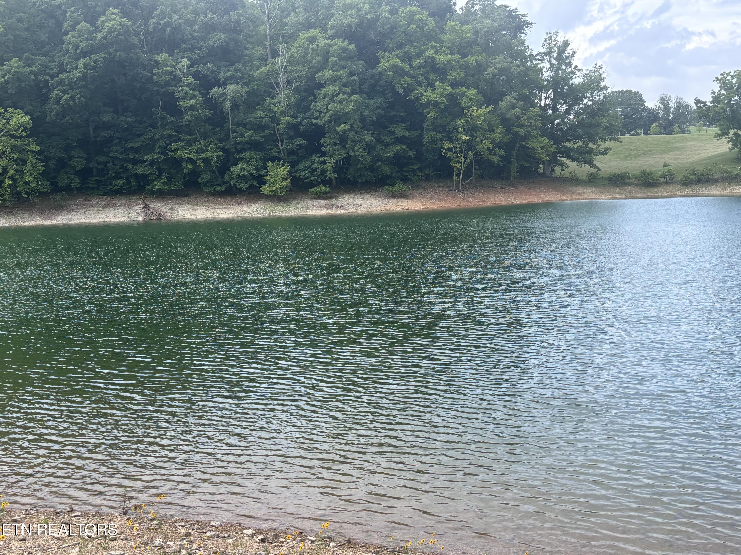 2327 Boat Dock Road Talbott, TN 37877 - Photo 5 of 13 IMG_0040