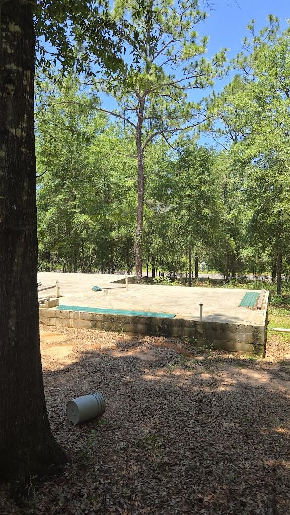 6045 Sand Hill Road Crestview, FL 32539 - Photo 12 of 21 a view of yard with large trees