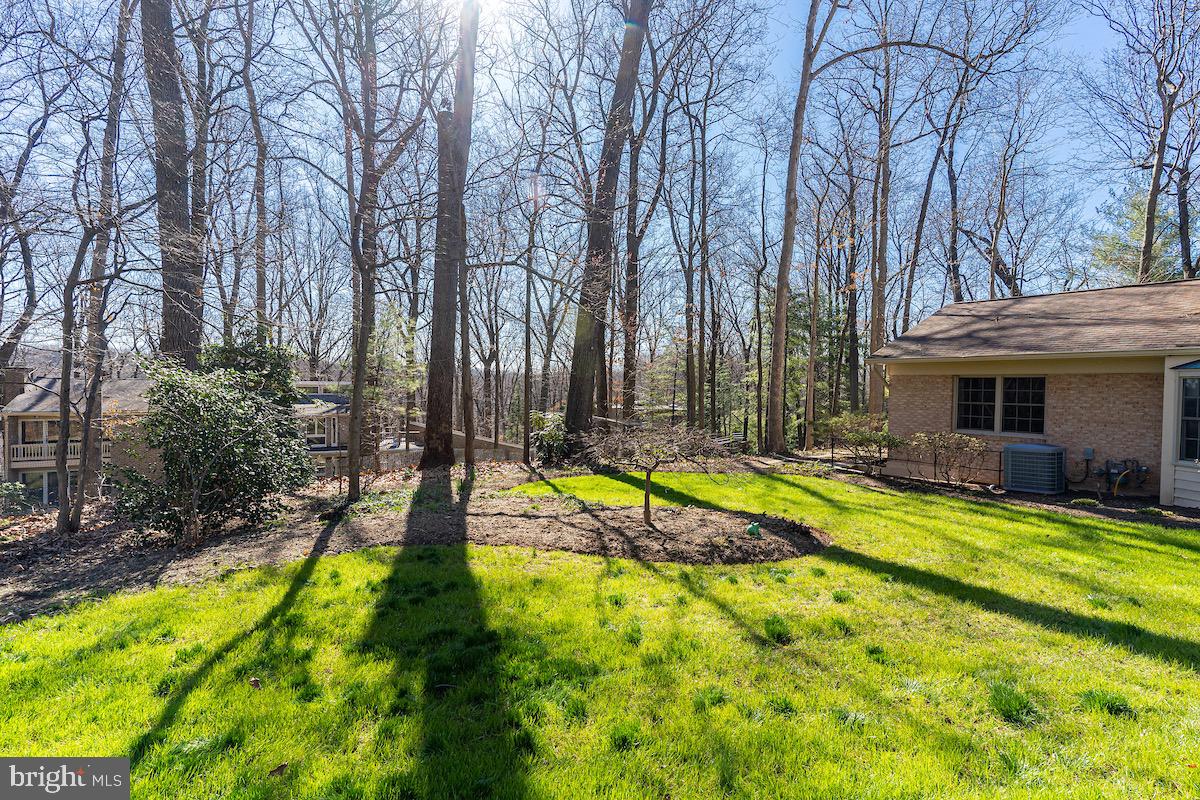 11905 Viewcrest Terrace Silver Spring, MD 20902 - Photo 53 of 68 A great deal of wooded land abuts the property.
