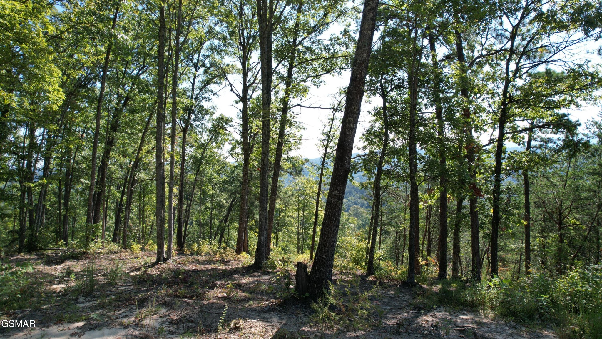 1 Sulpher Springs Way Sevierville, TN 37862 - Photo 7 of 12