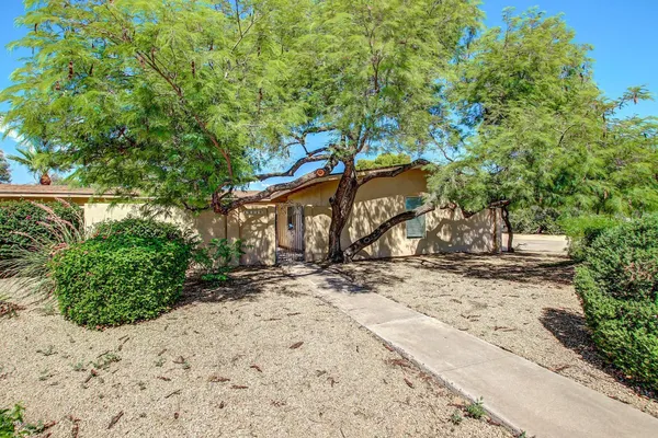a view of a wooden house with large trees
