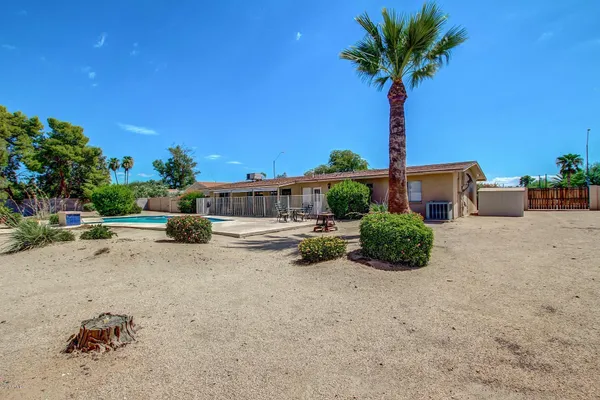 a view of a yard with plants and a tree