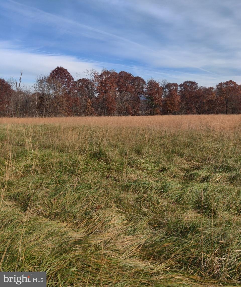 0053 Pious Ridge Road Berkeley Springs, WV 25411 - Photo 1 of 4