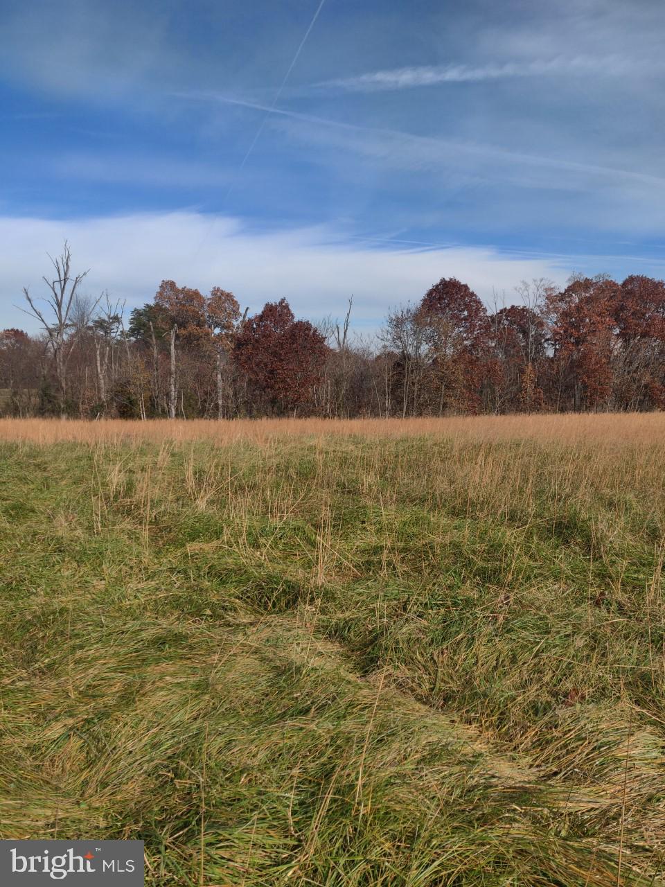 0053 Pious Ridge Road Berkeley Springs, WV 25411 - Photo 2 of 4