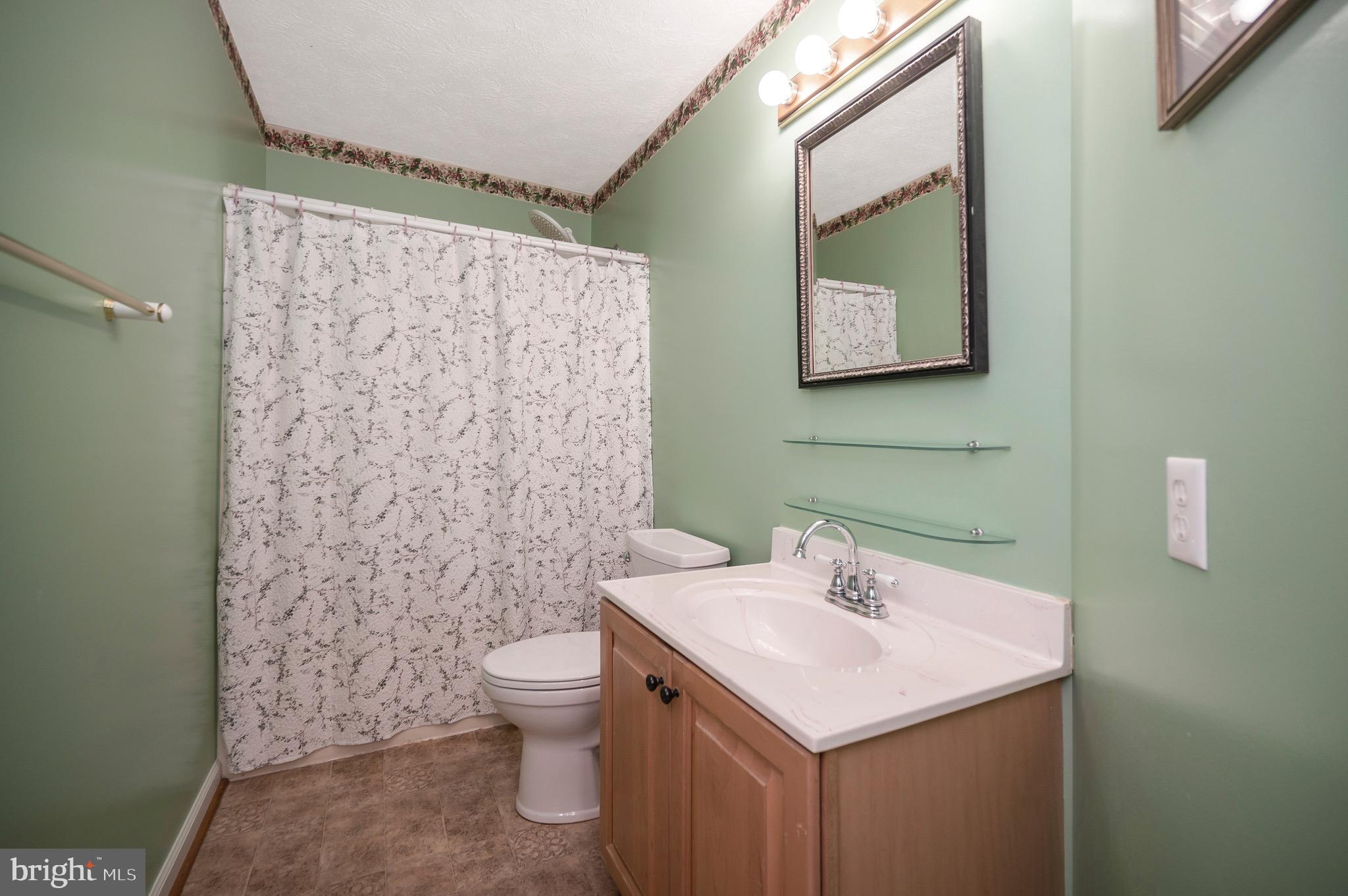 221 Washington Street Locust Grove, VA 22508 - Photo 24 of 48 a bathroom with a sink toilet and mirror