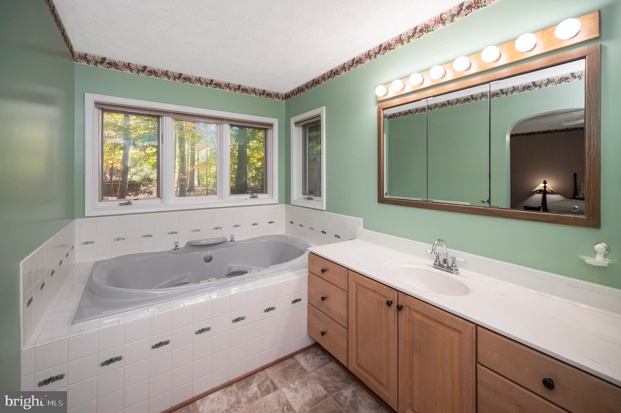 221 Washington Street Locust Grove, VA 22508 - Photo 27 of 48 a bathroom with a double vanity sink and mirror with bathtub