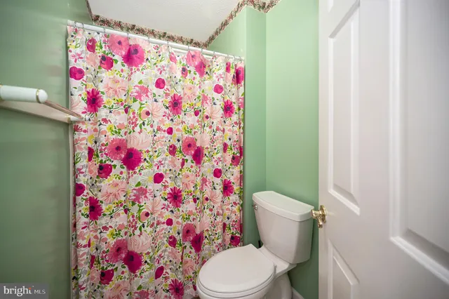 a white toilet sitting next to a shower curtain