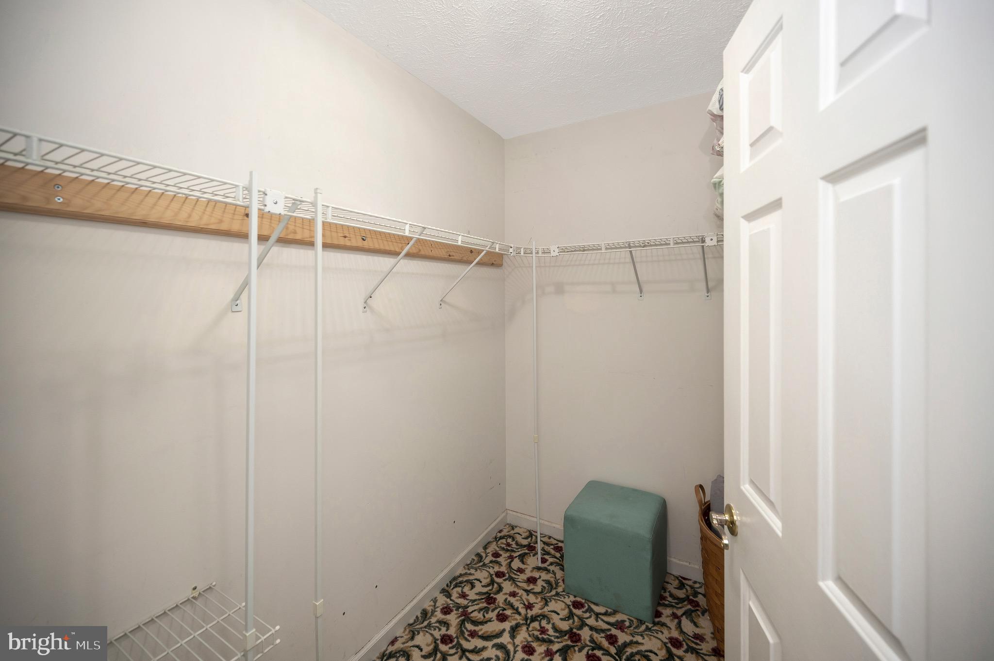 221 Washington Street Locust Grove, VA 22508 - Photo 29 of 48 a bathroom with a shower