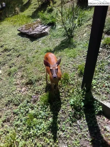 $119,900 | 103 Mid Holiday Lane, Unit D214, Beech Mountain, NC 28604