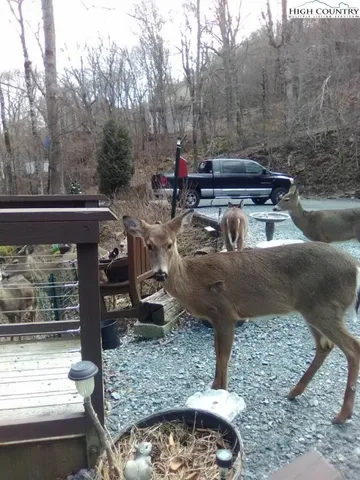 $119,900 | 103 Mid Holiday Lane, Unit D214, Beech Mountain, NC 28604