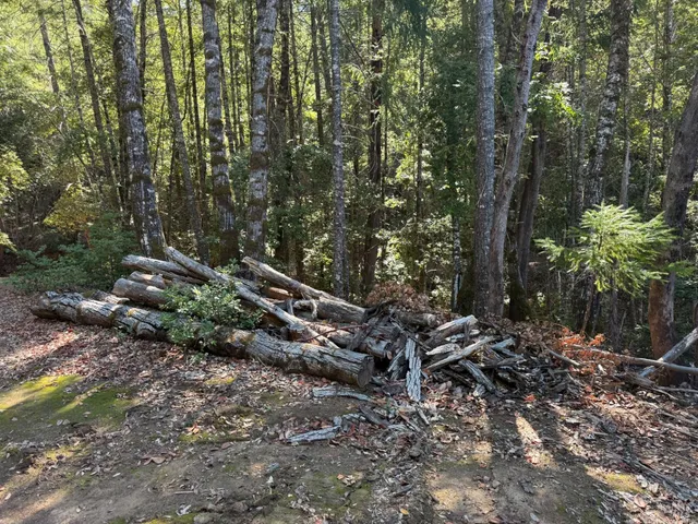 a backyard of a house with lots of green space