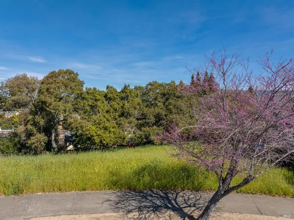 a view of a yard with a tree