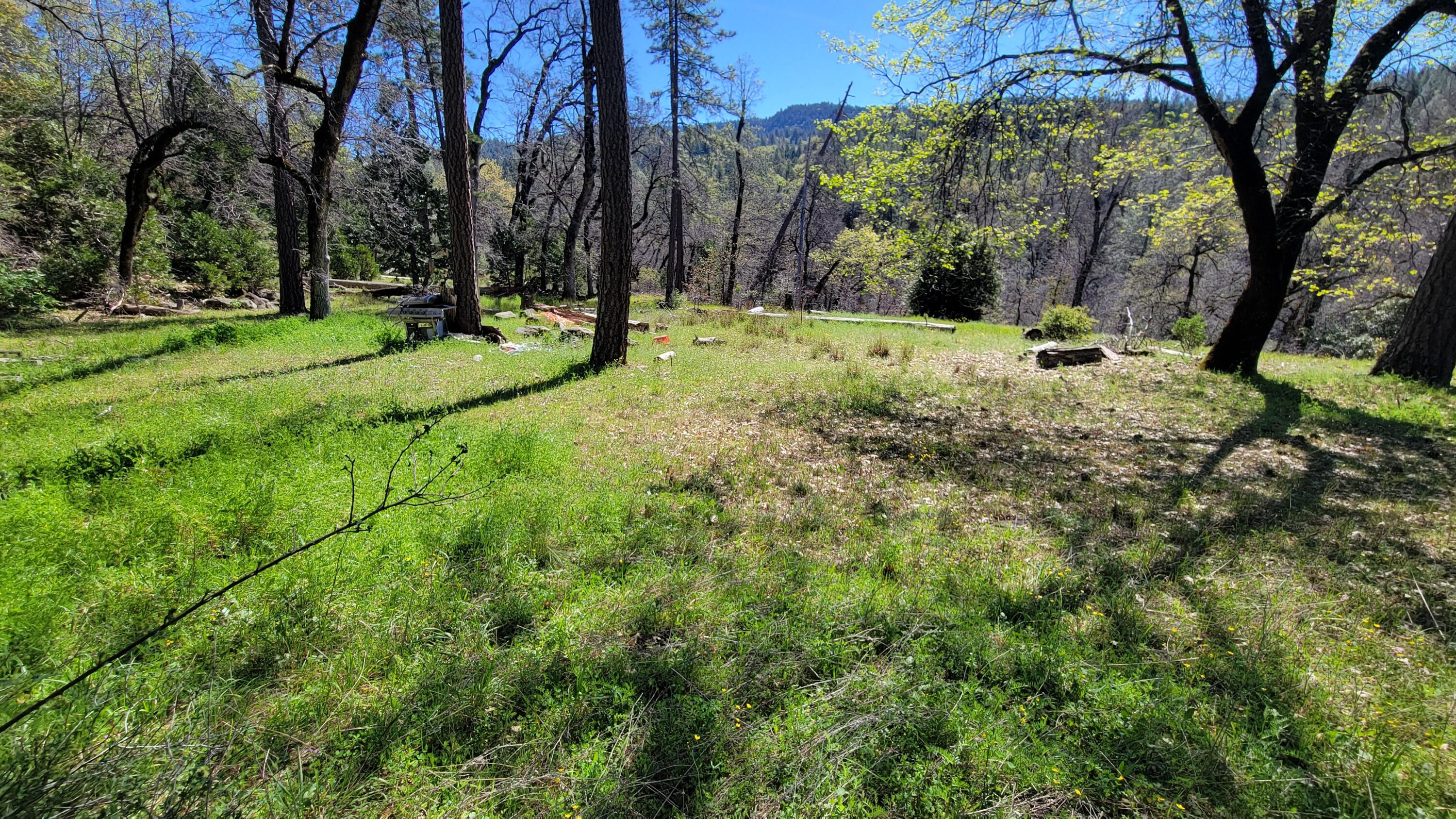 0 Jacey's Tract Road Oak Run, CA 96069 - Photo 3 of 35 20260317_115801
