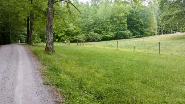 a view of a field with trees