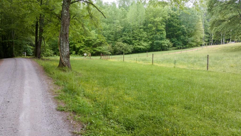 a view of a field with trees