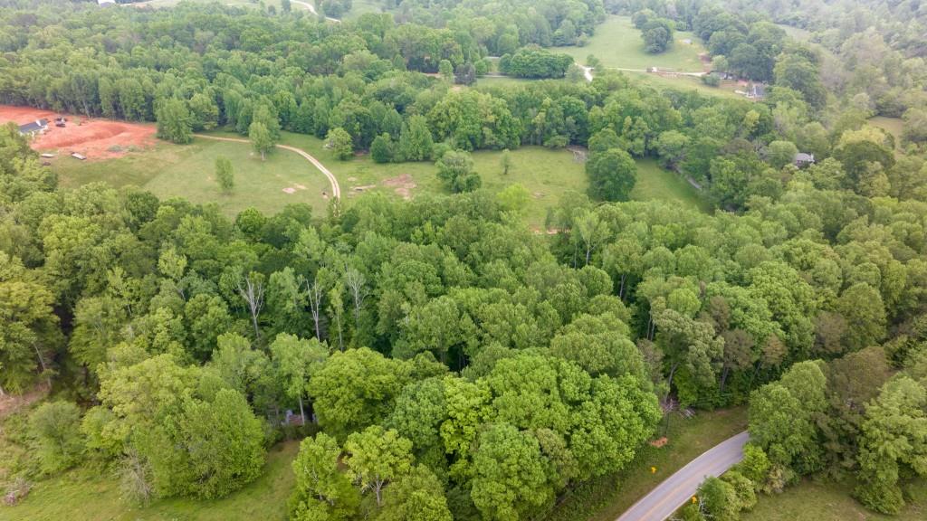 0 Louden Ridge Road Alto, GA 30510 - Photo 14 of 18 a view of a green yard with large trees