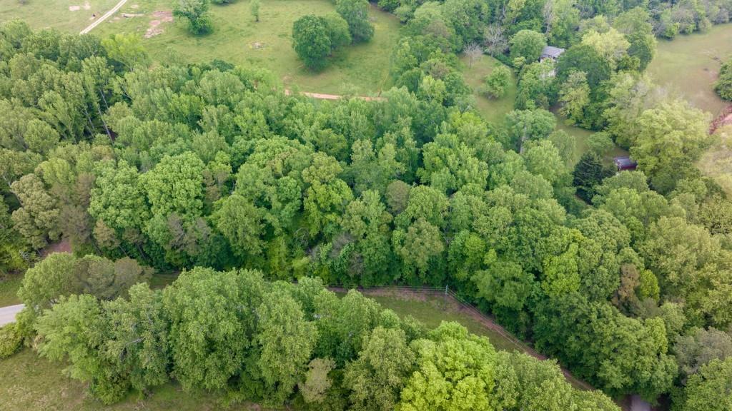 0 Louden Ridge Road Alto, GA 30510 - Photo 15 of 18 a view of a lush green forest