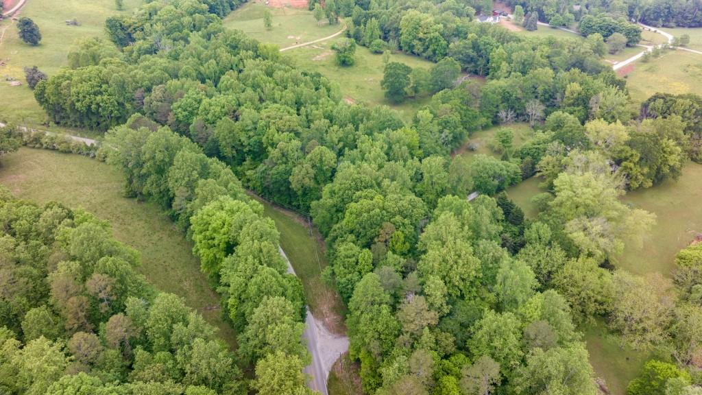 0 Louden Ridge Road Alto, GA 30510 - Photo 16 of 18 a view of a forest with a houses