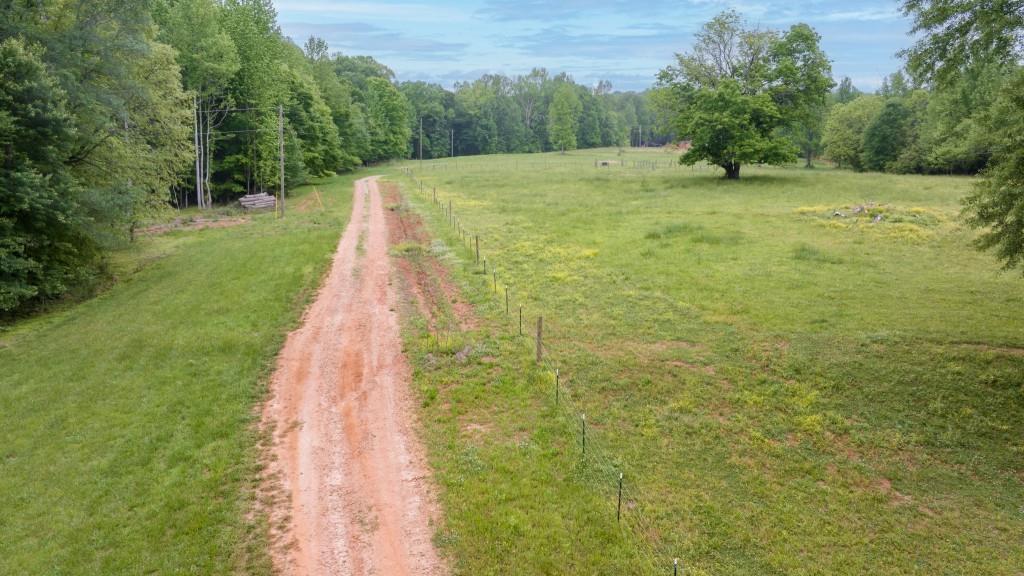 0 Louden Ridge Road Alto, GA 30510 - Photo 18 of 18 a view of a yard with large trees
