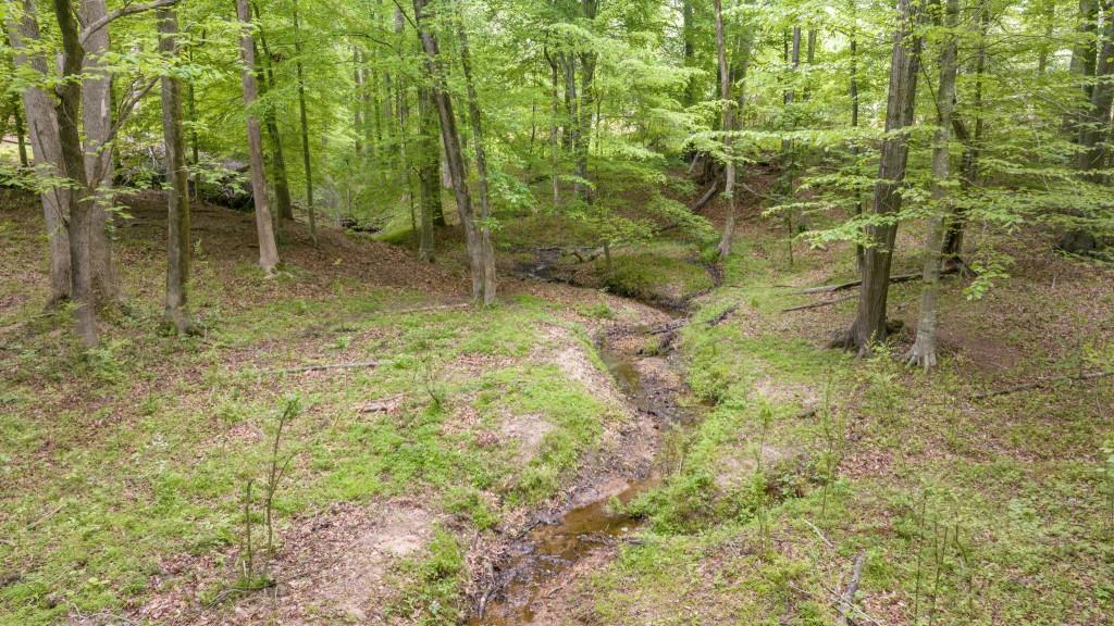 0 Louden Ridge Road Alto, GA 30510 - Photo 4 of 18 a fire hydrant in the middle of a field