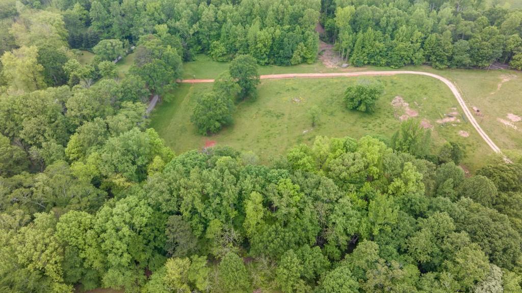 0 Louden Ridge Road Alto, GA 30510 - Photo 8 of 18 a view of a yard with a small yard and large trees