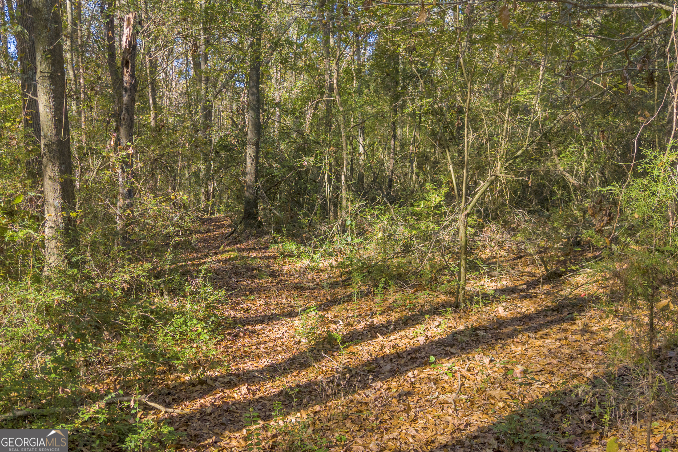 0 Rice Creek Road Canon, GA 30520 - Photo 10 of 37