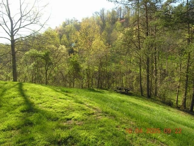 422 Shortcut Br Road Fort Gay, WV 25514 - Photo 22 of 24 Gallery Image 22