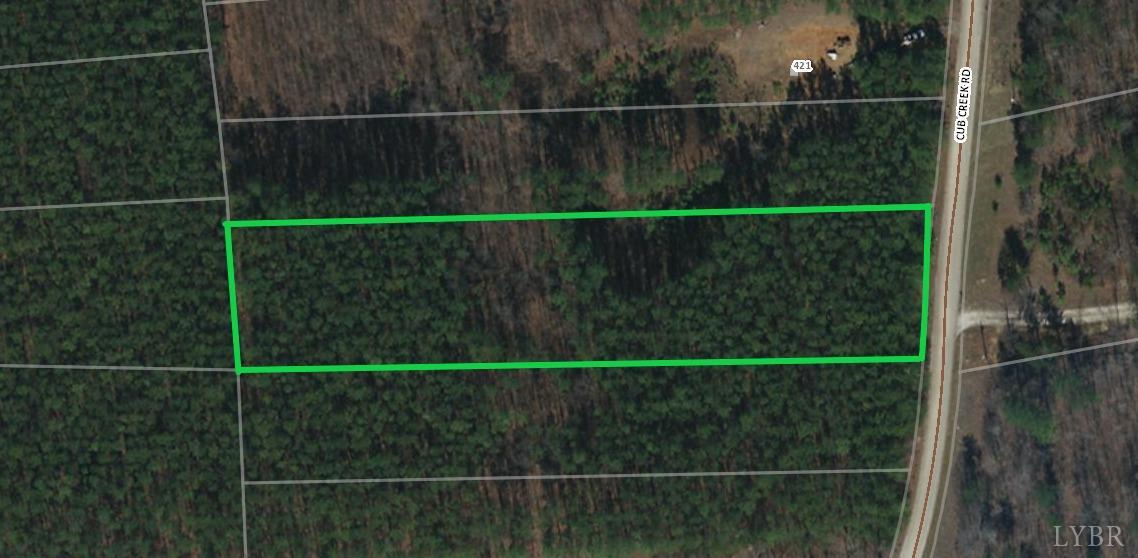 9 Cub Creek Road Appomattox, VA 24522 - Photo 3 of 4