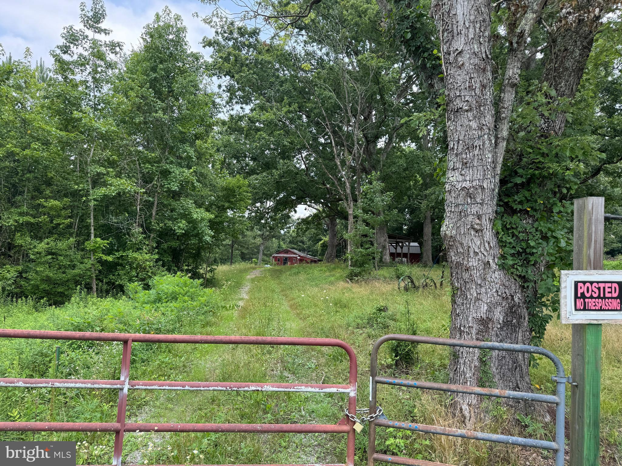 7175 Beef Steak Road Waverly, VA 23890 - Photo 1 of 6 Gallery Image 1