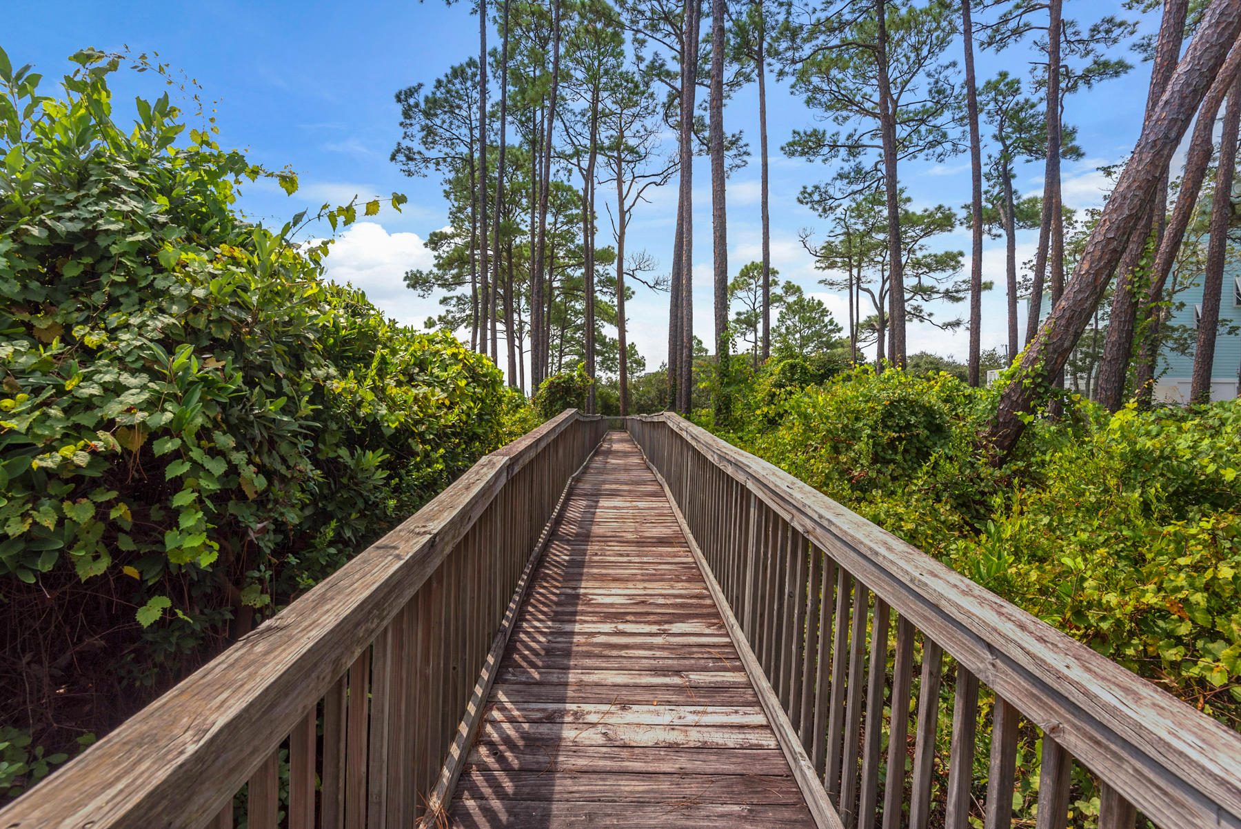 Lot 10 Loon Lake Drive Santa Rosa Beach, FL 32459 - Photo 1 of 49 a view of balcony of a house