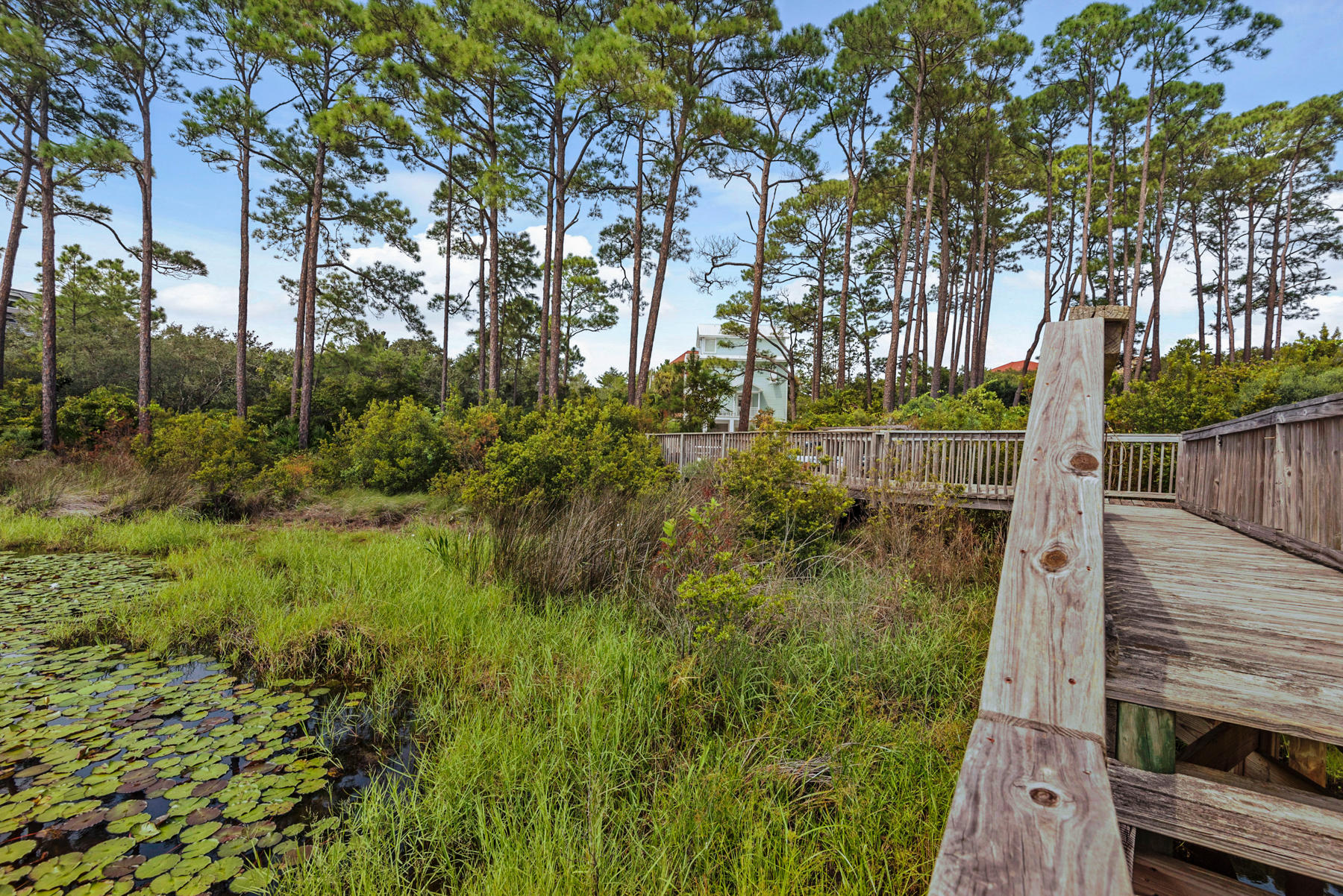 Lot 10 Loon Lake Drive Santa Rosa Beach, FL 32459 - Photo 12 of 49
