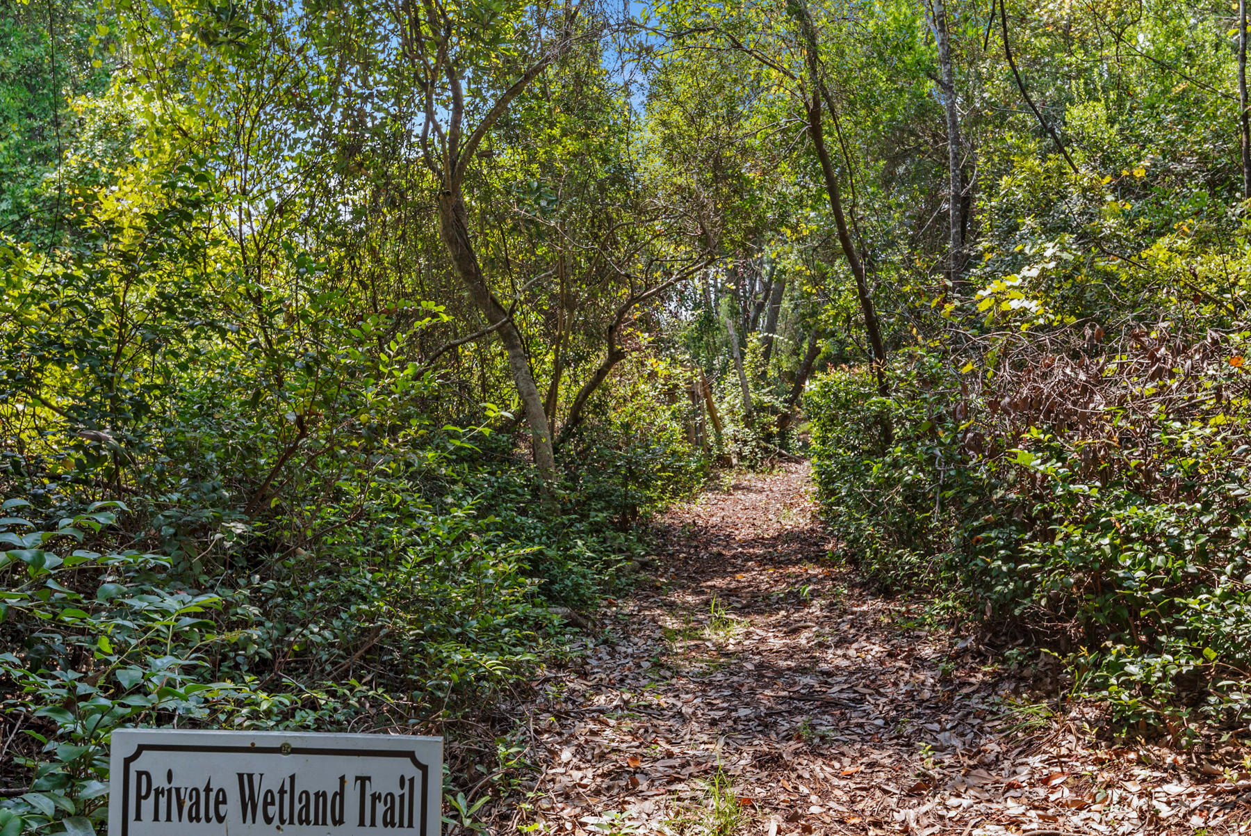 Lot 10 Loon Lake Drive Santa Rosa Beach, FL 32459 - Photo 19 of 49