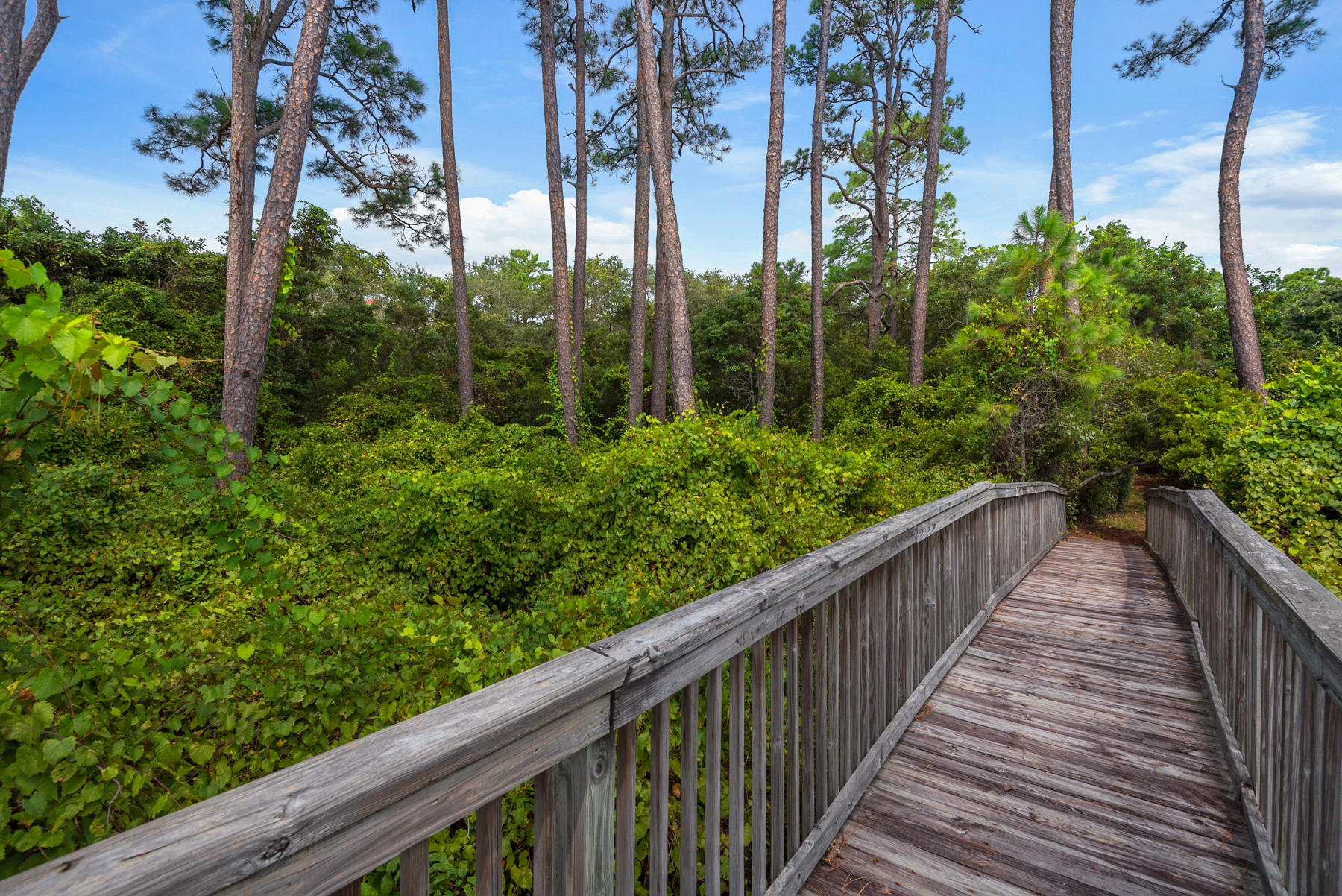 Lot 10 Loon Lake Drive Santa Rosa Beach, FL 32459 - Photo 2 of 49 a view of balcony and trees