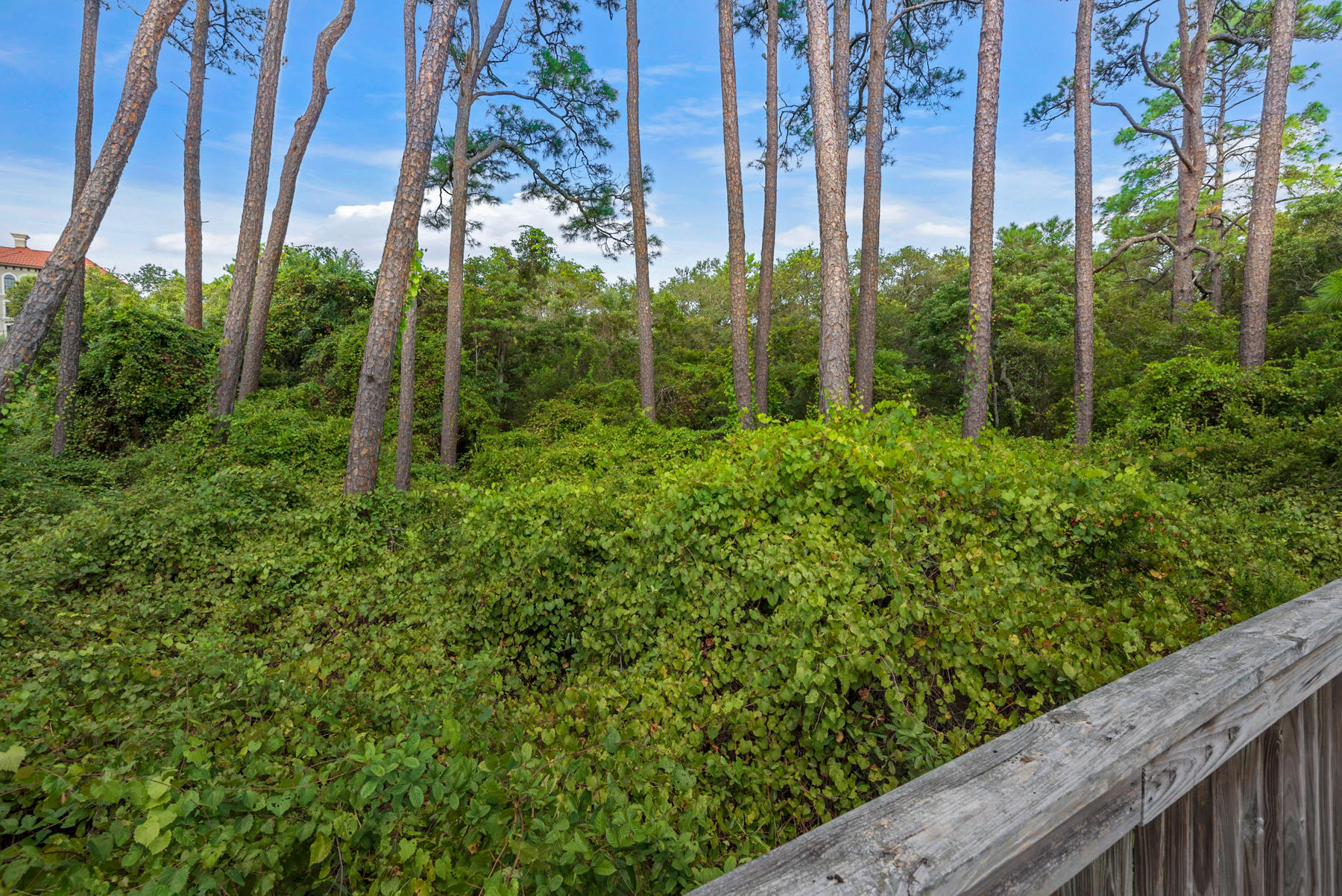 Lot 10 Loon Lake Drive Santa Rosa Beach, FL 32459 - Photo 3 of 49 a view of a forest from a balcony